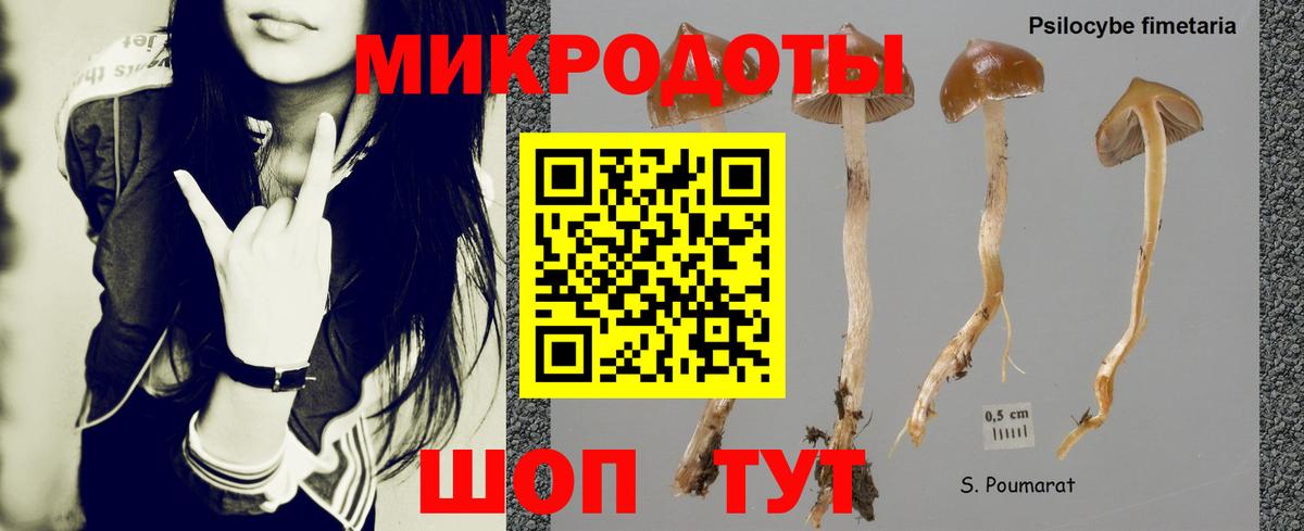 Галлюциногенные грибы Magic Shrooms Семилуки
